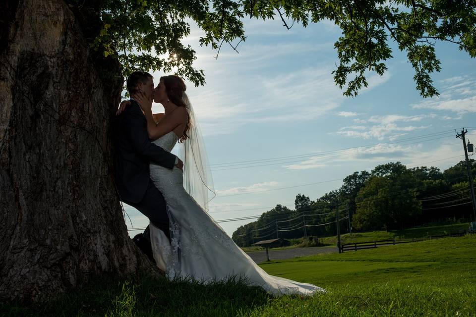 Under the tree