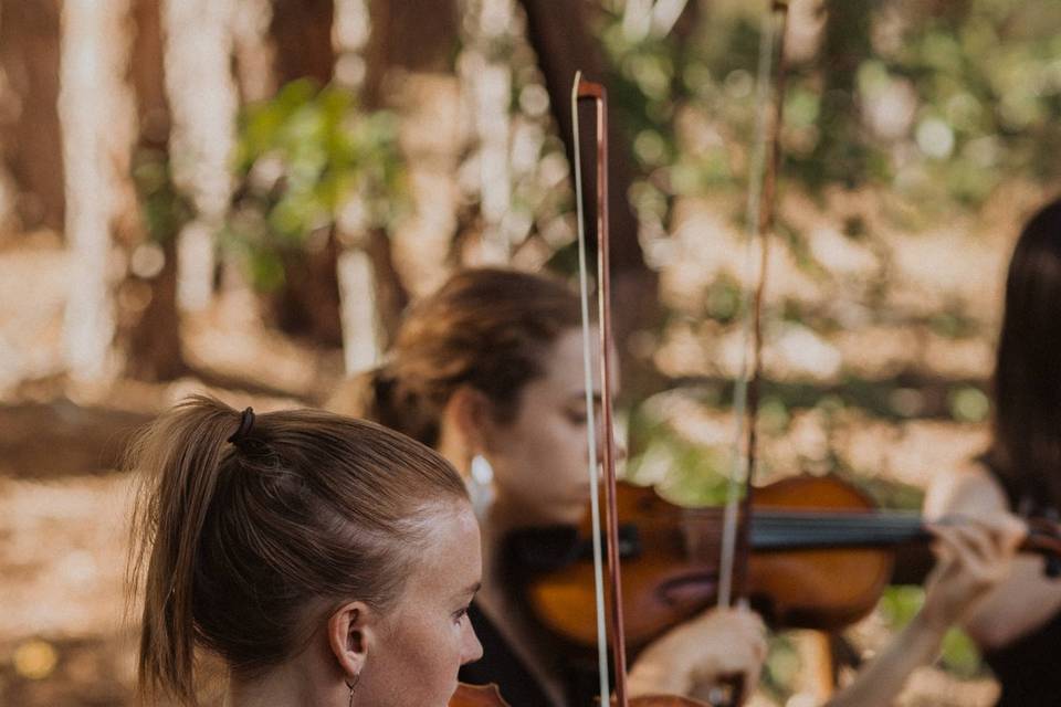 Flagstaff - Aldea Weddings