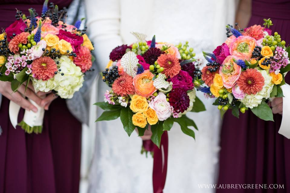 Katydid Flowers