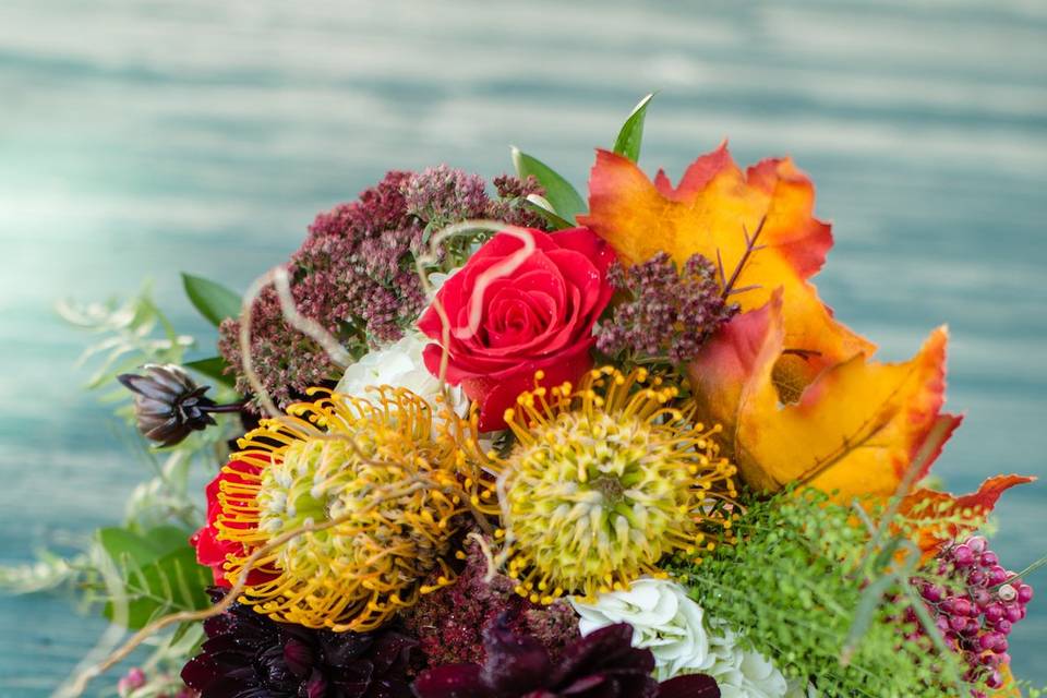 Katydid Flowers