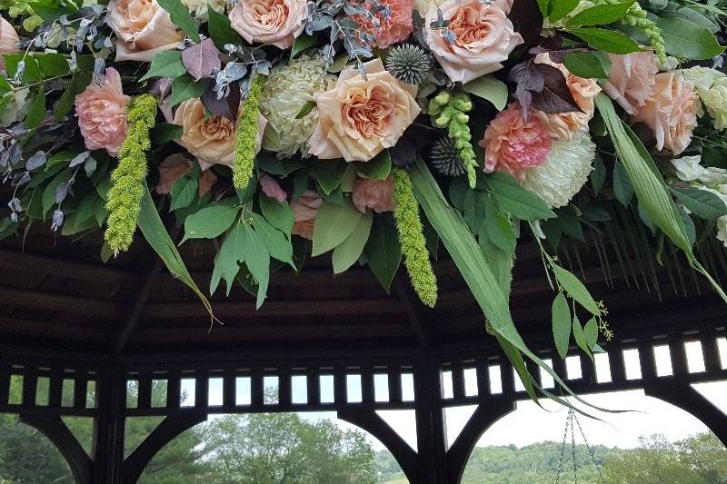 Katydid Flowers