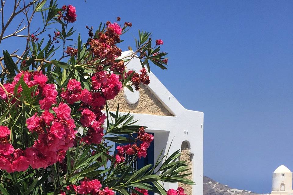 Floral sights in Santorini