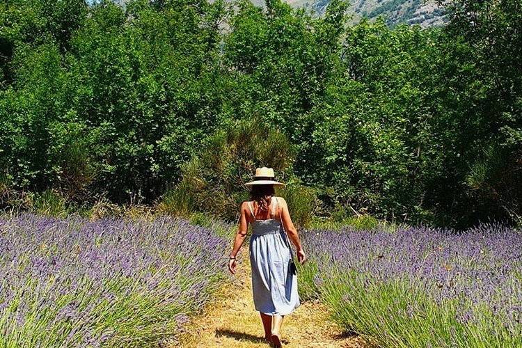 Sunny adventures in Provence