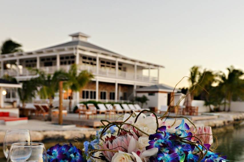 Blue and white flowers