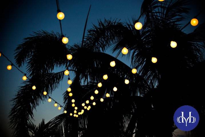 Outdoor reception lighting