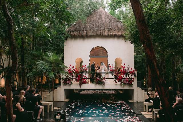 Ambre et Epices Jungle Venue