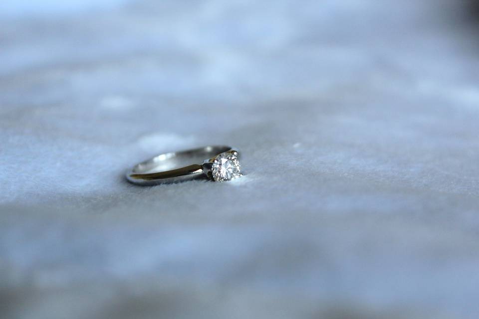 ZiiPhotography