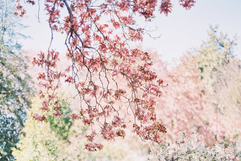 Blooming ceremony arbor