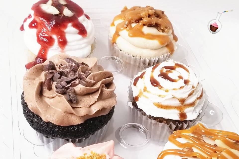 Cupcake Assortment