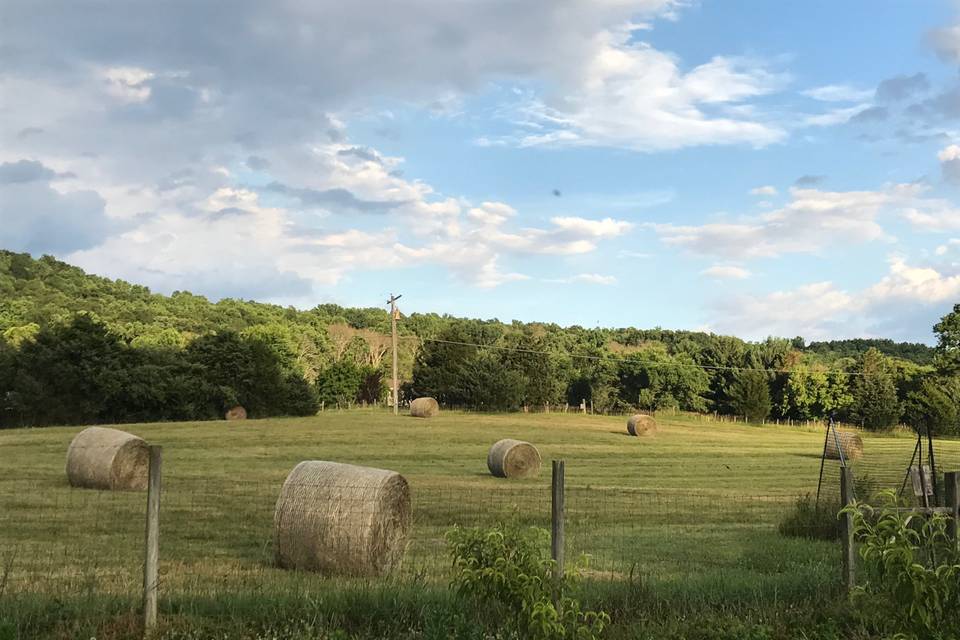 The hay field