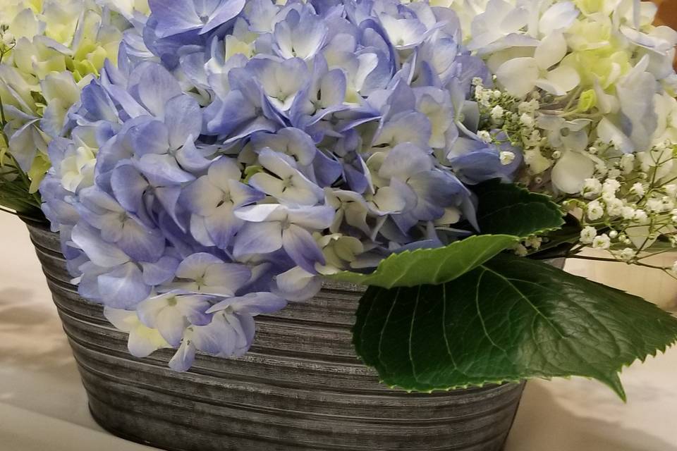 Blue and white arrangement