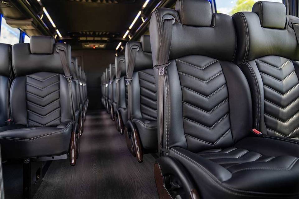 Executive Mini Coach Interior