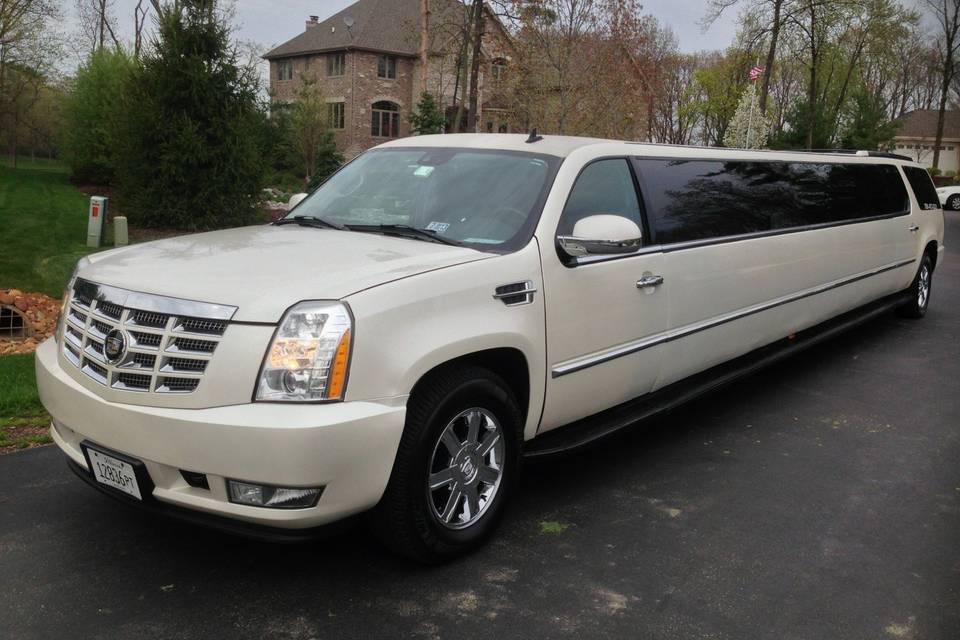 Al's Platinum Limousine