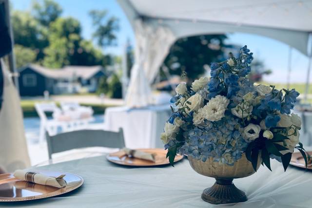 Crisp Blue and White