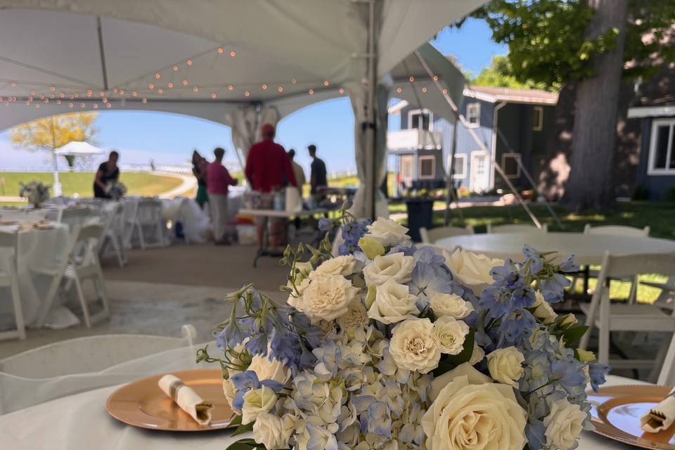 Guest Table