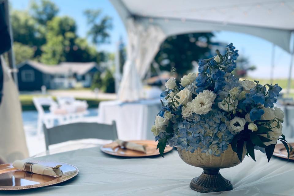 Crisp Blue and White