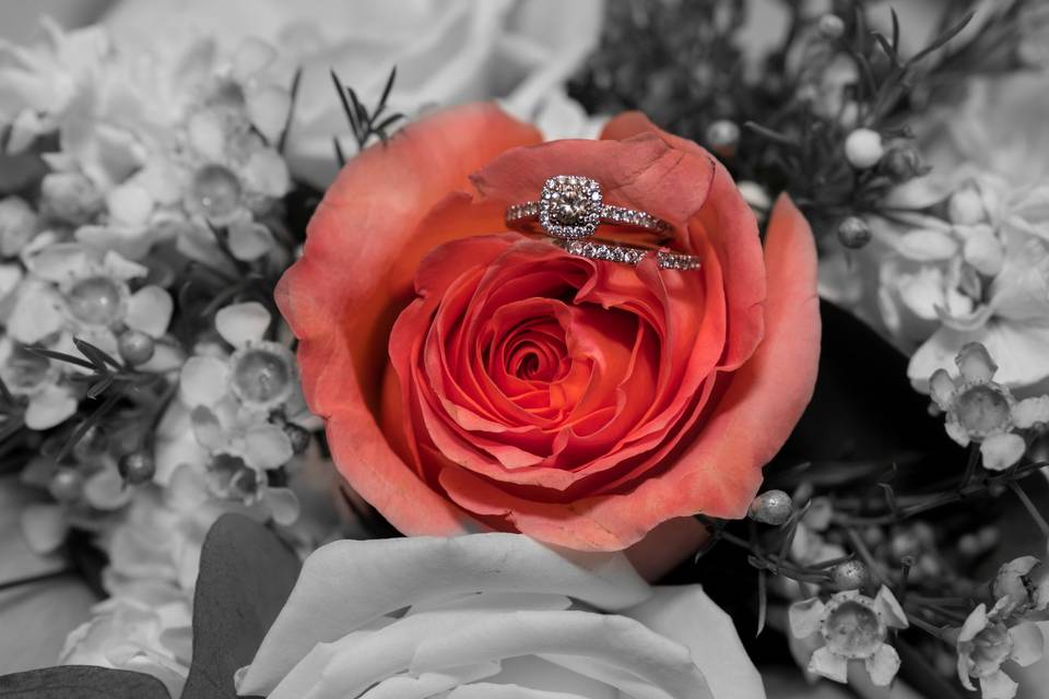 Ring shot