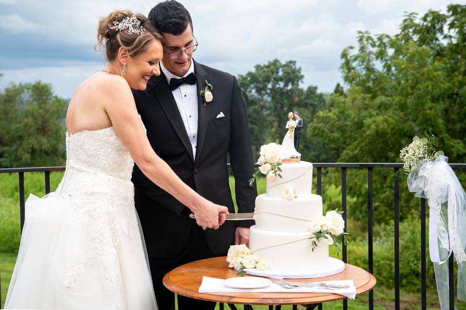 Cake cutting