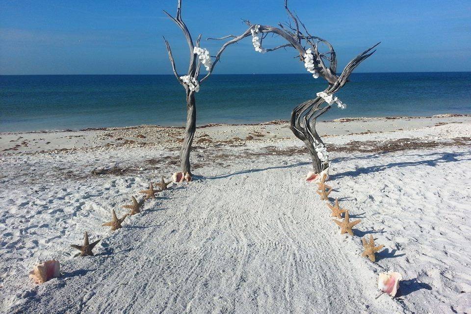 Driftwood arch