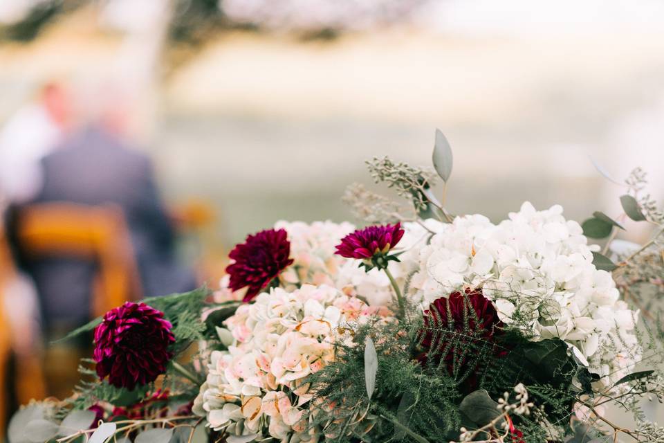 Red and white roses| Sarah Libby Photography