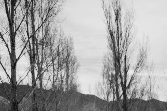 Carson Valley