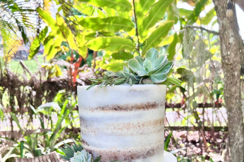 Naked Cake with Suculentas
