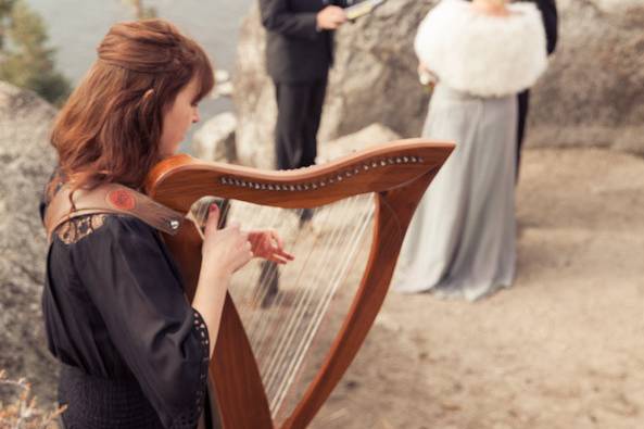 Harpist at the wedding