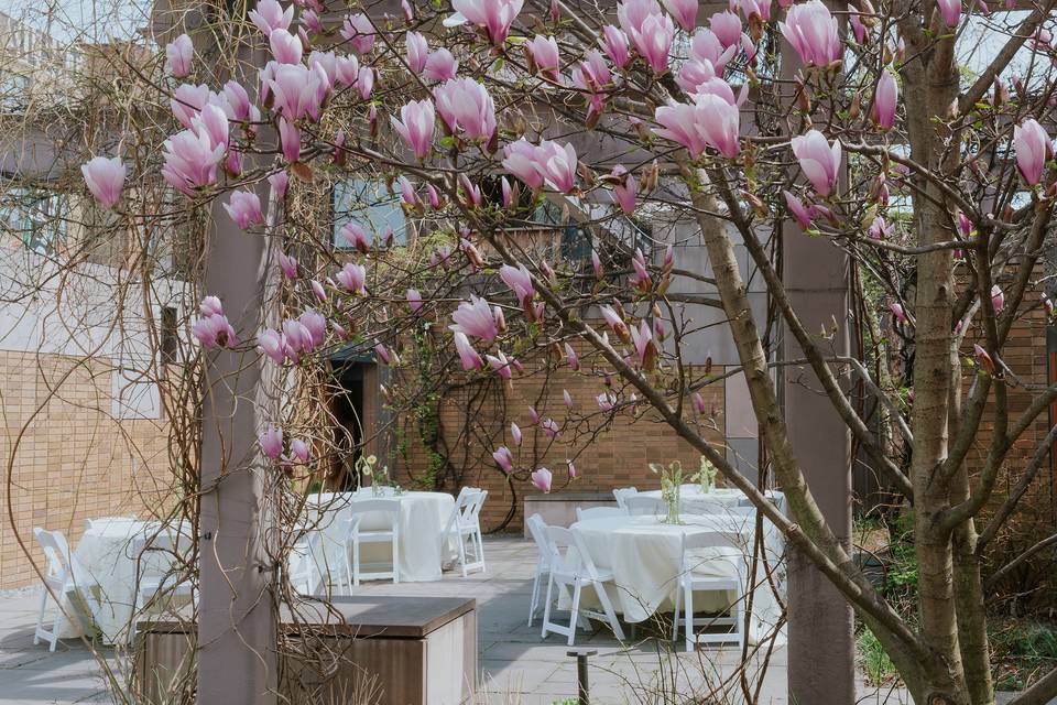 Garden Reception