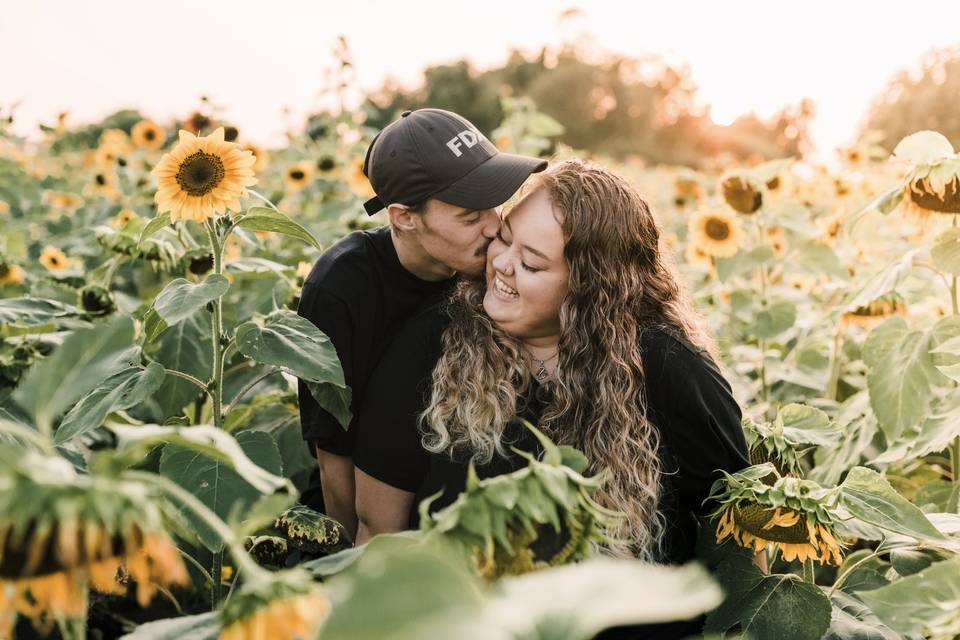 Sunflowers of Sanborn