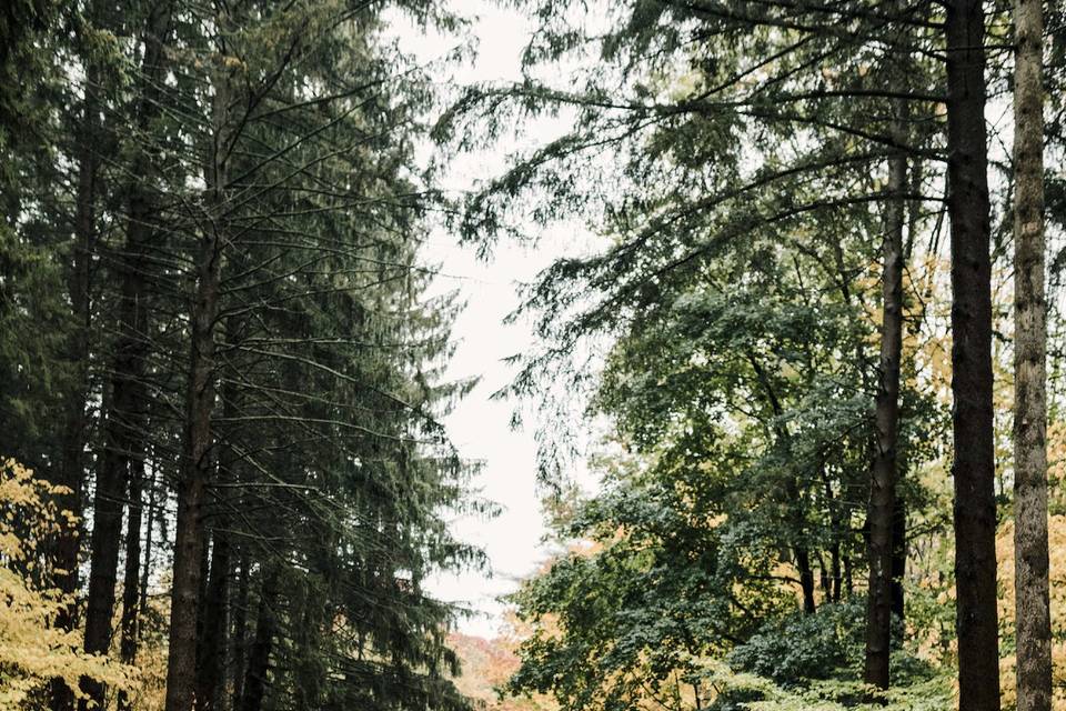 Letchworth State Park