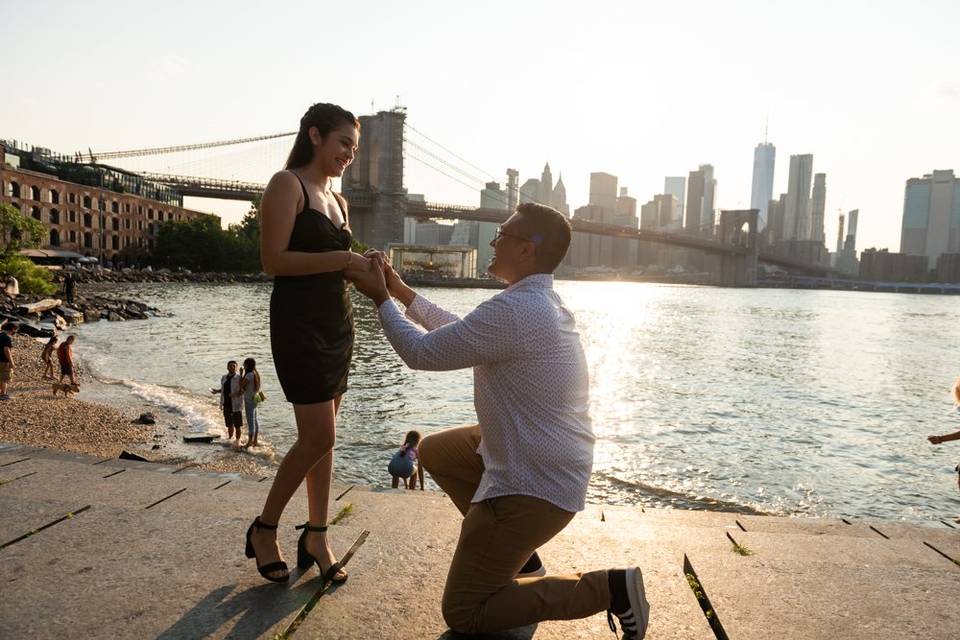 Surprise Proposal NYC