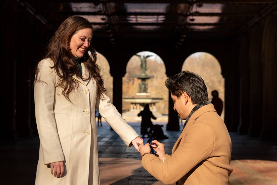 Surprise Proposal NYC