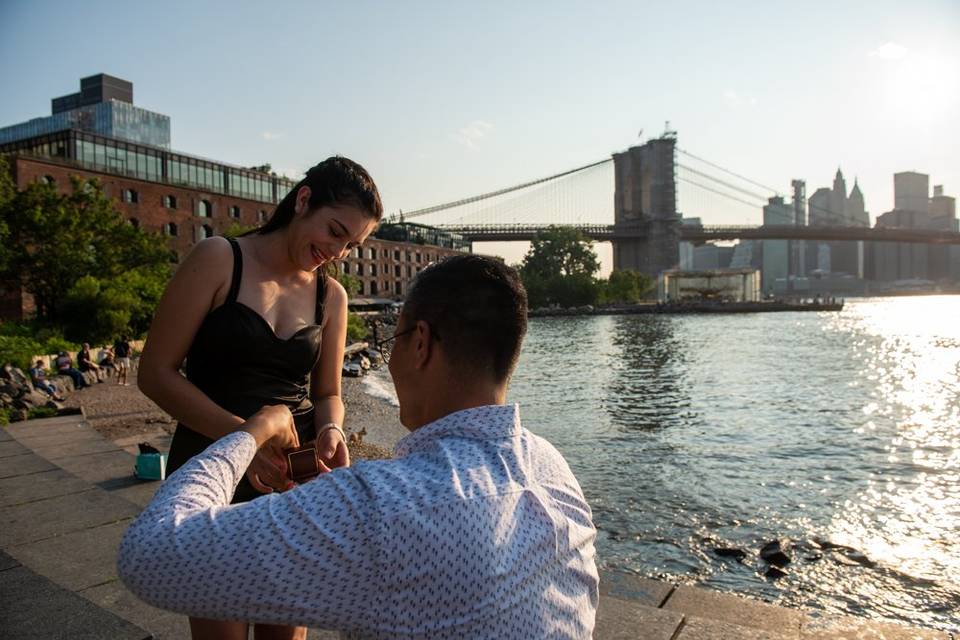 Surprise Proposal NYC