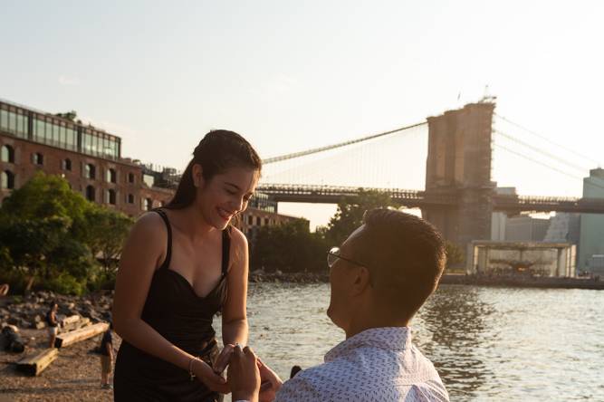 Surprise Proposal NYC