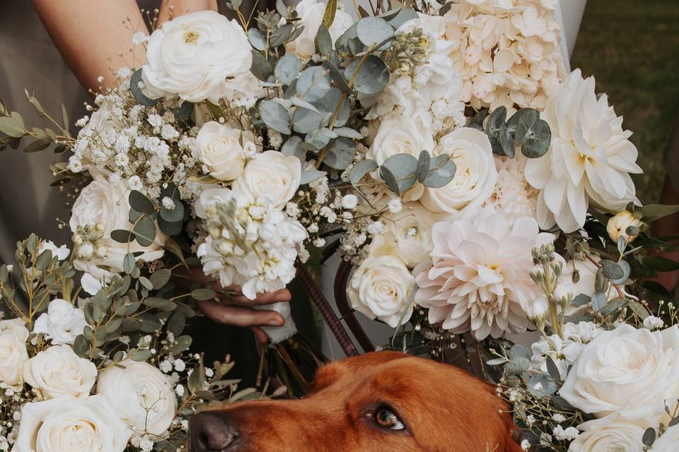 Emily + Tyler Pup