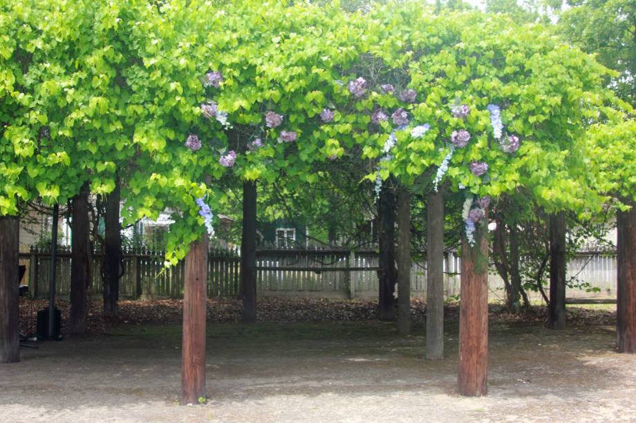 Grape Arbor310 North Hull StreetRental Fee: $300.00Seating: 50Parking: Along East Jefferson Street, North Hull Street, or in the Old Alabama Town parking areaFor more information or to book this venue, call (334) 264-7480 or email anna@jenniewellercatering.com.