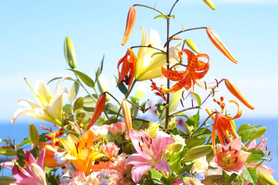 Colorful ceremony