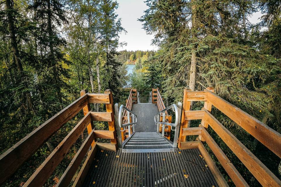 Stairs to the kenai river