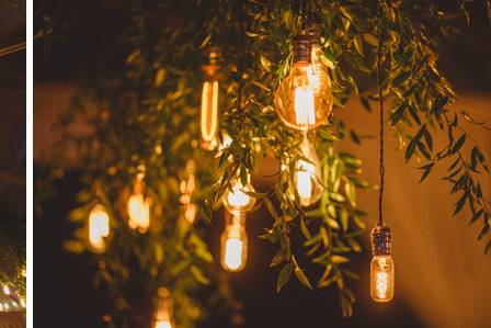 Greenery chandeliers