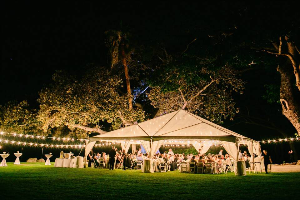 Clear top tent at night