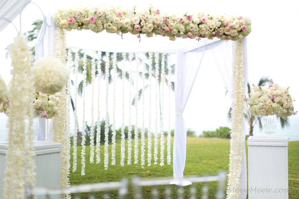 Wedding canopy