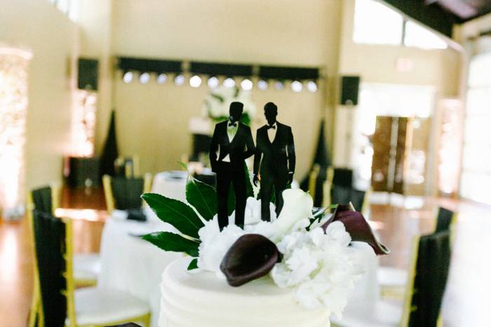 Same Sex Cake Topper