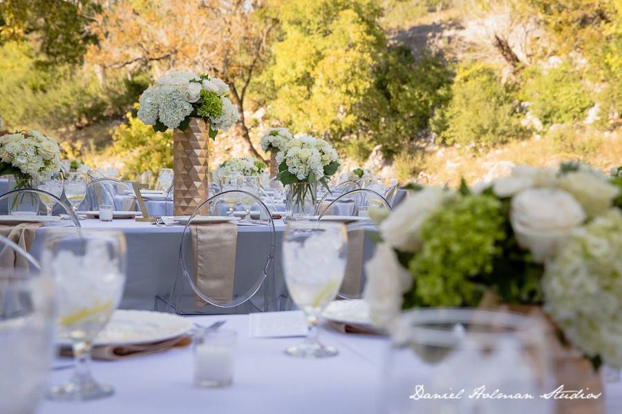 Breezy Outdoor Reception