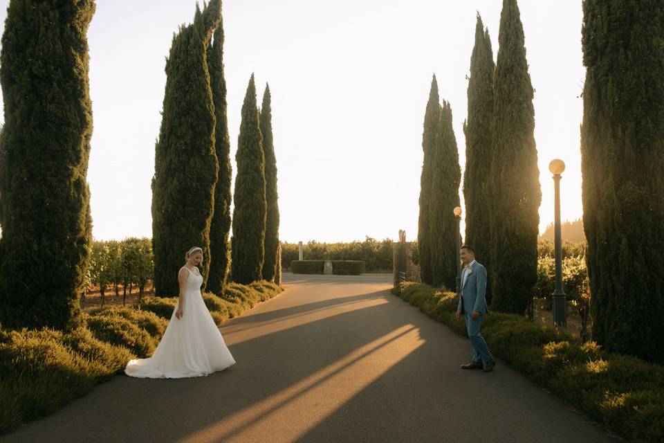 Formal Photo at Winery Wedding