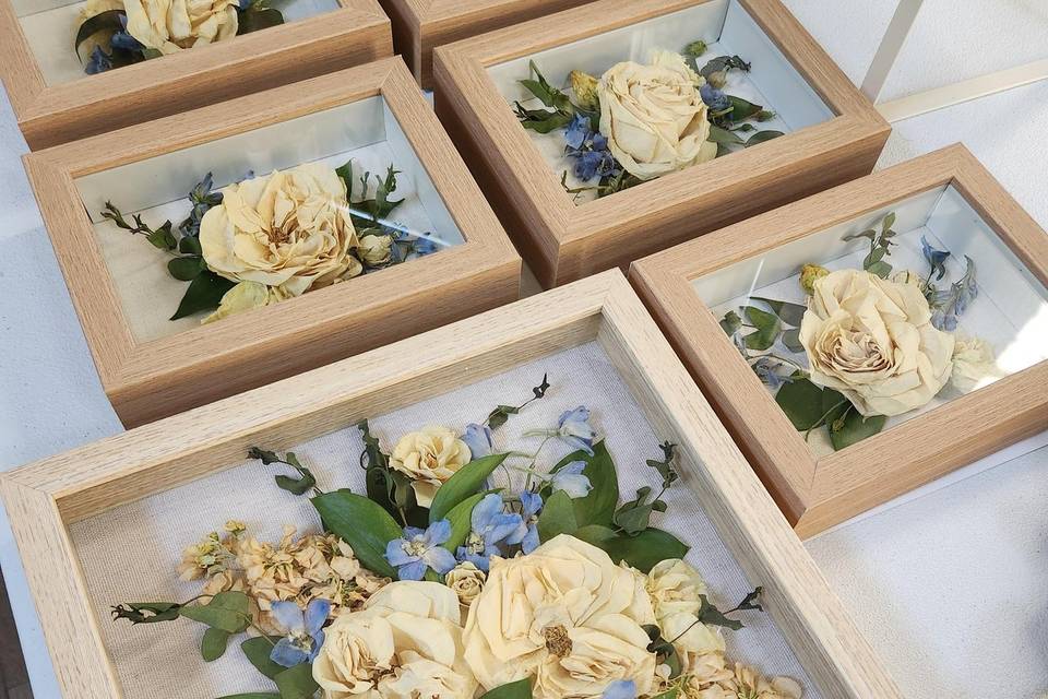 Family Keepsake Package