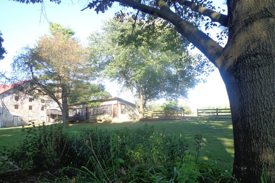 View towards barn