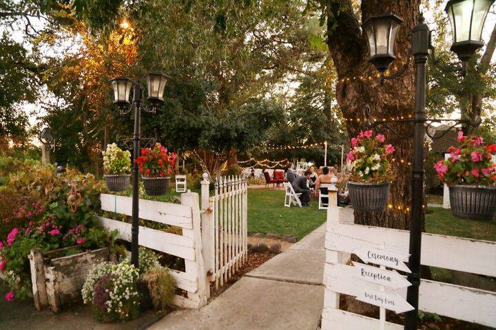 Flowers in bloom outside