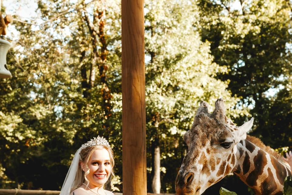 Birmingham Zoo