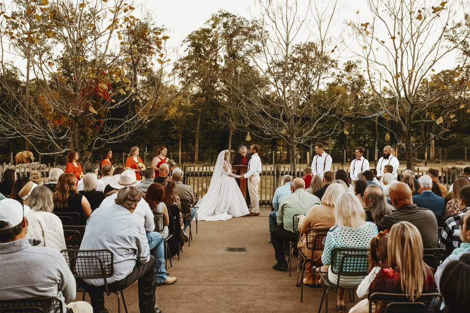 October Wedding - TOA