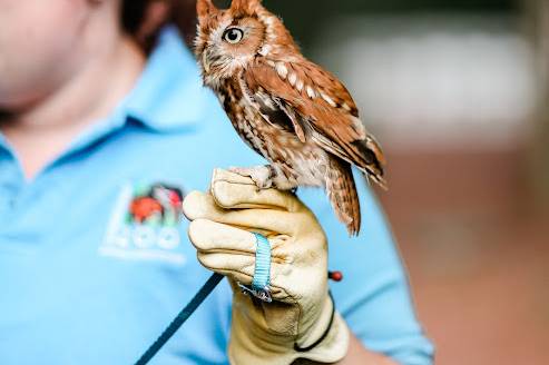 Birmingham Zoo